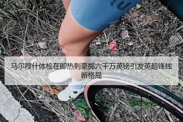 马尔穆什体检在即热刺豪掷六千万英镑引发英超锋线新格局