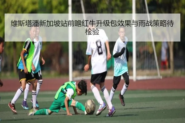 维斯塔潘新加坡站前瞻红牛升级包效果与雨战策略待检验